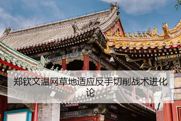 zheng-qin-wen-wen-wang-cao-di-shi-ying-fan-shou-qie-xiao-zhan-shu-jin-hua-lun-3-578.jpg